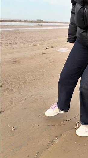 4565: Cracked riverbank mud surprises Chinese walker near the Yellow River