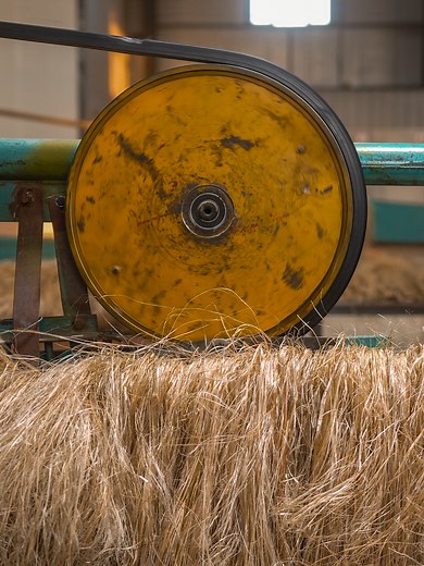 In the hemp decortication process, we will put hemp stalks into the...