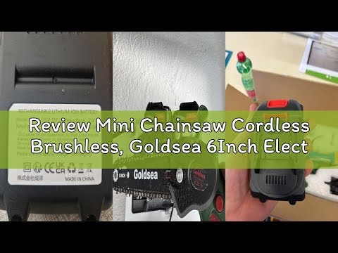 Review Mini Chainsaw Cordless Brushless, Goldsea 6Inch Electric Chainsaw with 2 x 4Ah Batteries Auto