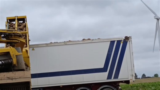 Nos betteraves sont en route pour Tirlemont 🚛 Merci pour cette belle saison mère nature. | Ferme Késenne