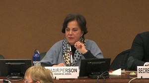 2129th Meeting, 90th Session, Committee on the Elimination of Discrimination against Women (CEDAW)