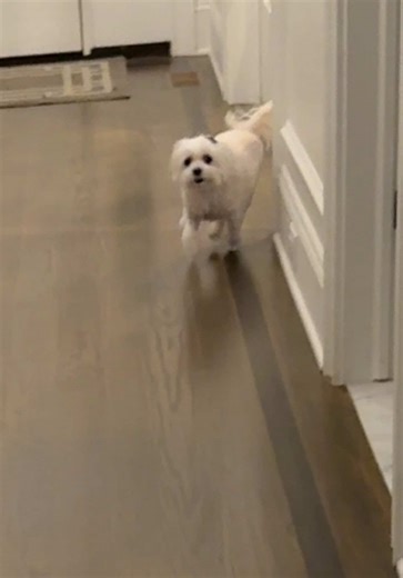 Greenie Time for Daisy: A Fun Sunday Sing-Along!