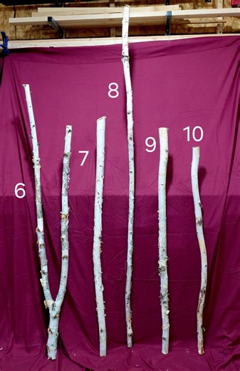Birch Sticks / Logs / Decoration - Etsy