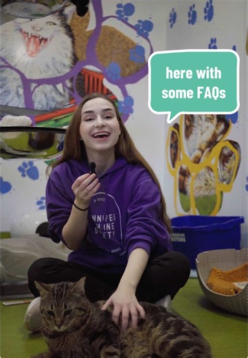 Adoption FAQs at the Winnipeg Humane Society