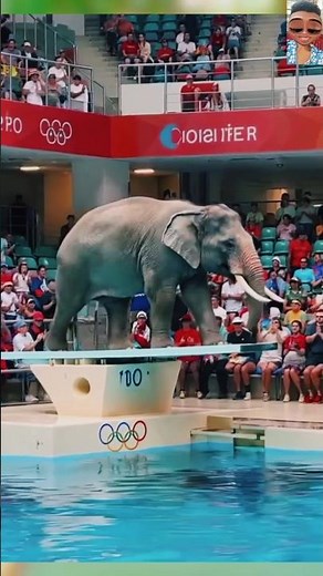 Elephant at the Olympics | Funny Animal Jumping Challenge☺️#Olympics #FunnyElephant #AnimalChallenge