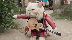 BERANI BERUBAH: Baju Si Meong Pembawa Rezeki