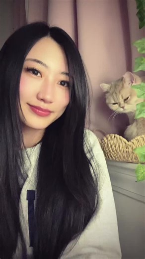 he just woke up from a nap so he looks grumpy | grumpy cat