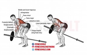 Master the Landmine Row: Target Your Back and Arms Effectively – Fitness Volt