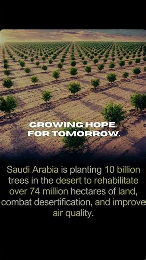 Turning Sand Into Forests: The Desert Is About to Go Green