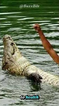 Man Befriends a 17-Foot Crocodile 🐊💔 | True Story of Chito & Pocho #shorts #buzzbilt