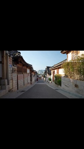 韓国料理屋きむん家のおすすめメニュー #韓国 #日韓ハーフ #韓国料理店 #韓国料理 #韓国料理屋きむん家 #きむあずま