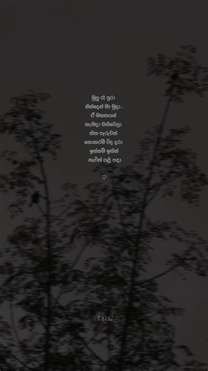 Inspirational Quotes for Your Status