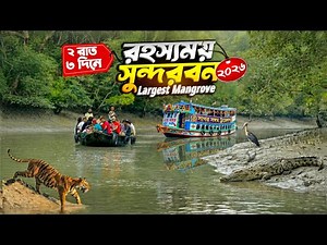 শীতের মায়াবী সুন্দরবন ভ্রমণ | Sundarban Tour Package 🐊 | Winter Secrets of Sundarban