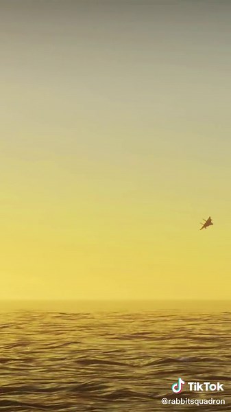 Cookin’! Who can name this beautiful bird?! #rbsqn #warthunder #GameTok