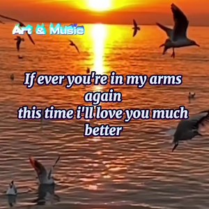 4.1K reactions · 613 shares | ❣️ Love songs music ❣️ ( with lyrics)  If Ever You're In My Arms Again   When you tell me that you love me   Sail Over Seven Seas  | Pinoy Medicine | Facebook