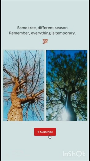 Everything is temporary#reality#motivationalshorts#nooneisperfect