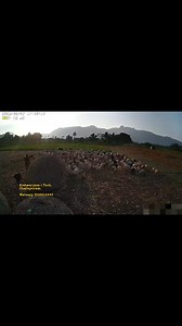 4.7K views · 33 reactions | Basic Model. Basic Model. Basic Model. TrueView Solar Camera - Single Lens Basic Model. Rs.9999( Camera + Panel + 64 GB SD Card + Installation + Steel Plate) WhatsApp 9698614443 #cctv #aishwaryam #dharapuram #solarcamera #trueview #groupofaishwaryam | Aishwaryam i TECH | Facebook