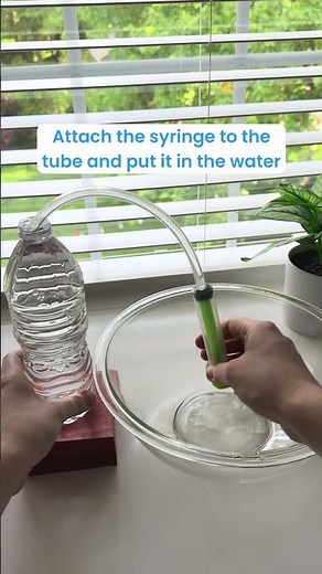 See water pressure and gravity in action with this science experiment! 💧👀