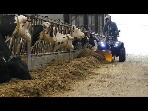 Les différentes activités d'un Quad Agricole / Nouveau Yamaha Kodiak 450