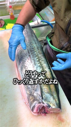 Your perception of Spanish mackerel will change...🐟 A giant 12kg Spanish mackerel arrived from Ch...