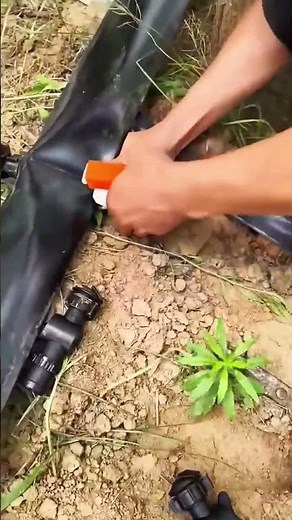 Irrigation micro-spray tape laying and installation process for the garden