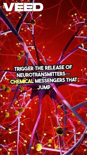 "The Brain’s Electric Power: How Bioelectricity Drives the Nervous System"