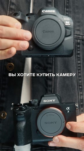 Canon R5 vs. R8: Is It Worth the Extra Pay?