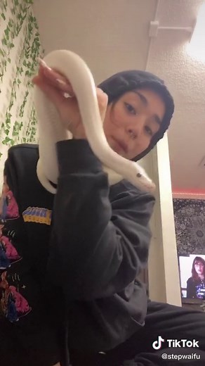 biggest blue eyed lucy you’ll ever see, I promise. #ballpython #reptile #snakes #snake #bel #superrusso