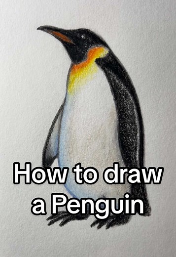 How to Draw a Penguin: Step-by-Step Guide
