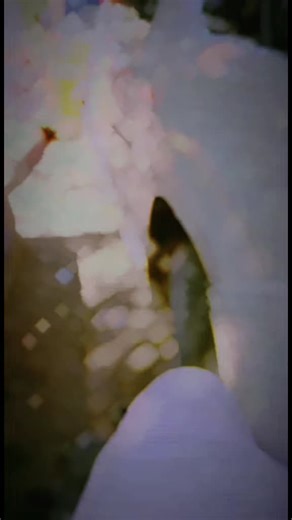 sssssss (@sanao859)’s videos with original sound - sssssss