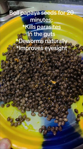 Natural remedy to kill parasites in the guts, deworm and improve eyesight. #chefevelynijama #papayaseeds #papaya #naturalremedy #deworm #guthealth #parasite #eye #eyehealth #fyp #fypシ #tiktok
