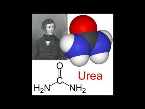 What is Urea