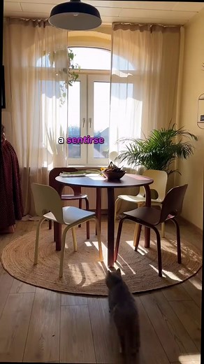 Cómo Decorar una Sala: Ideas Prácticas y Elegantes