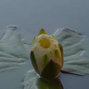 6.3K views · 241 reactions | Discover the magic of Qigong… no matter...