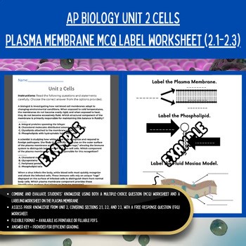 AP Biology UNIT 2 Cells 2.3 Plasma Membrane MCQ Labeling FRQ Worksheet