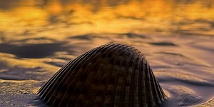 103: What is Signal-Led Outbound?