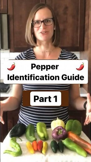 Pepper Identification Guide (Part 1) - Bell Pepper, Cubanelle, Anaheim #howtopickapepper