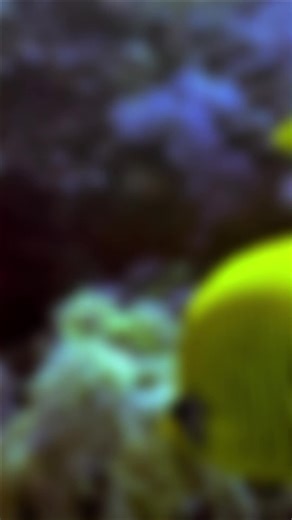 Love Stories: Motivation and Inspirational Quotes