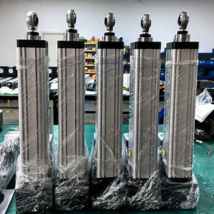 [Hot Item] Customized Electric Servo Actuator with High Torque Servo Linear AC