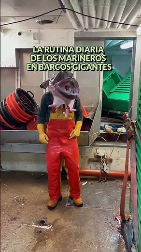 Así viven los tripulantes en buques que cruzan los océanos