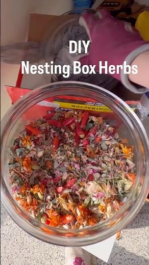 DIY Nesting Box Herbs. #homestead #diy #backyardchickens #chickencoop #nestingbox