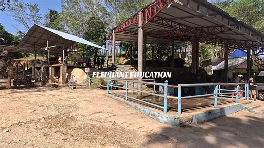 POSTING FOR EDUCATIONAL PURPOSES. Why riding elephants is NOT OKAY and YOU SHOULD NEVER DO IT ! If you’re travelling in Asia, you’ll see lots of places offering elephant rides. Please don’t do it — here’s why (in simple terms): 1. Their backs aren’t built for carrying weight Elephants may be huge, but their spines are not designed to support people or heavy seats. Riding causes permanent spinal damage and chronic pain. 2. The training is almost always abusive To make an elephant “obedient,” babi