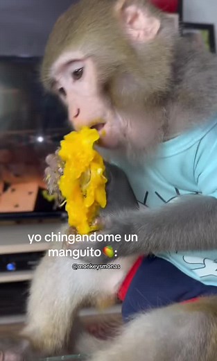 Cuentas recomendadas