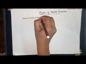 Tests for median nerve:pen tes, oschner's clasp tes, pointing index finger, ape thumb