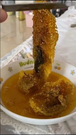 The Amazing Health Benefits of Eating Raw Honeycomb