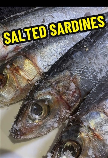 How to Prepare Salted Sardines for Fishing