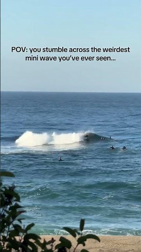 Have you ever seen a mini wave that breaks like this?! #surf #surfing #waves #miniwave