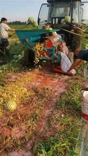 Watermelon Cutting Machine in Action 😱🍉 #shorts