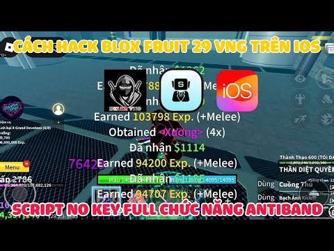 How to Hack Blox Fruit 29 VNG on iPhone/iPad - Delta, Skibx VNG iOS - Script No Key, Full Functio...