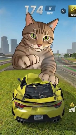 Jumping Car vs Big Big Cat //Extreme Car Driving Simulator